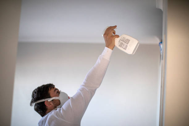 Mold Testing and Removal in Galeville, NY