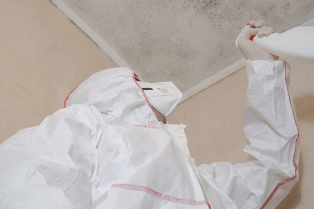 Best Crawl Space Mold Removal  in Galeville, NY