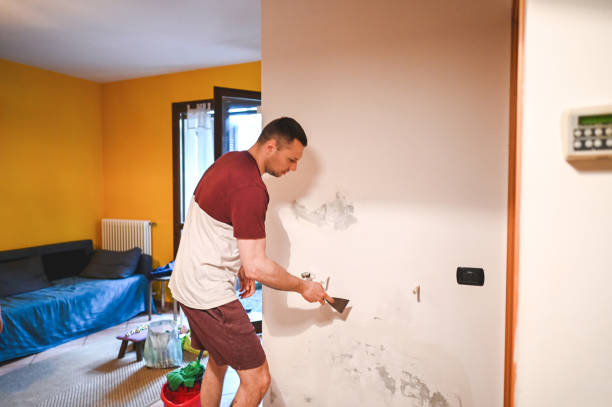Best Fast Mold Removal  in Galeville, NY